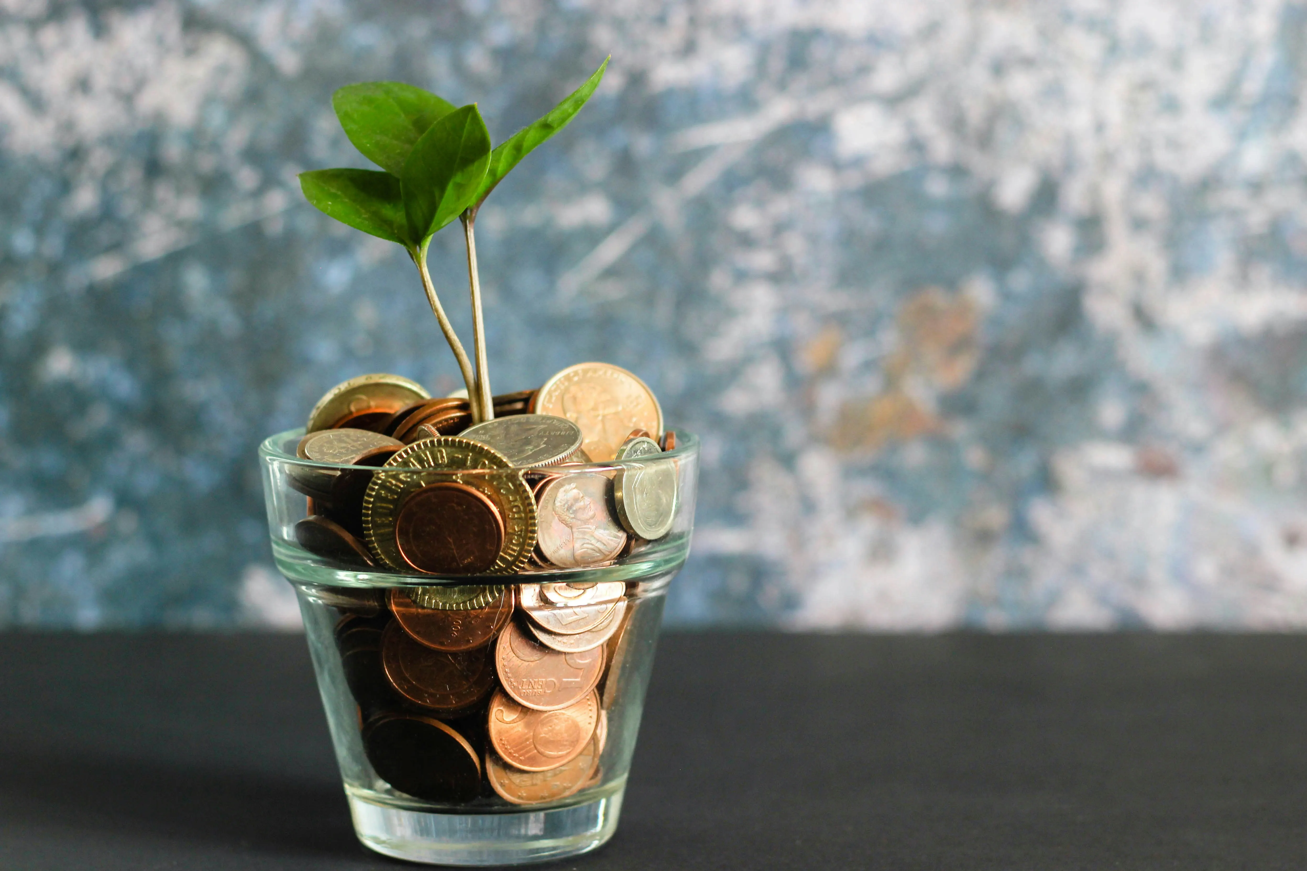 Stacks of coins
